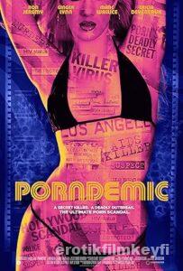 Porndemic 2018