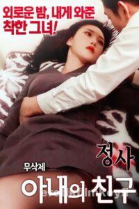 An Affair- My Wife’s Friend 2 (2024)