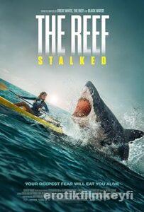 The Reef: Stalked izle The Reef: Stalked